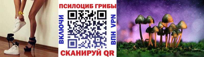 Галлюциногенные грибы Magic Shrooms  Купить где  Пролетарск 